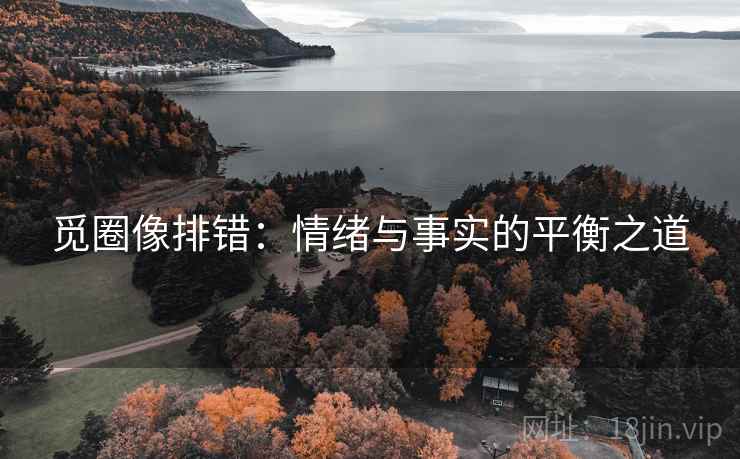 觅圈像排错:情绪与事实的平衡之道 觅圈像排错:情绪与事实的平衡之道